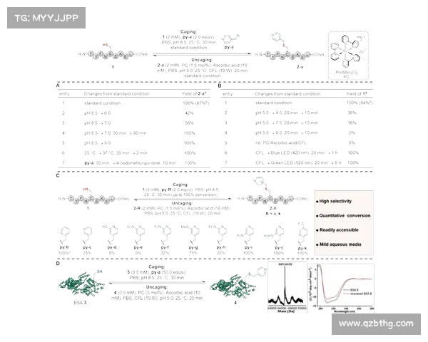 弗拉门戈艺术未来发展趋势与市场拓展策略探讨