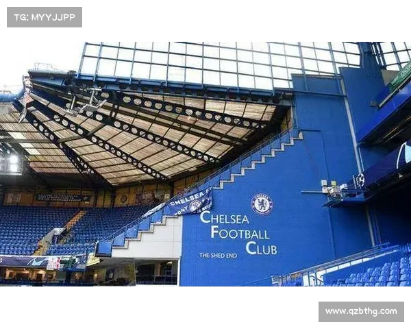 探讨斯坦福桥俱乐部的组织结构与文化特点分析